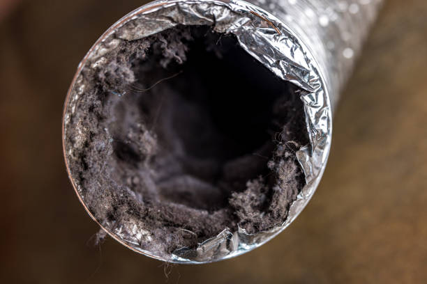 Best Duct Cleaning for Homes  in Shell Valley, ND